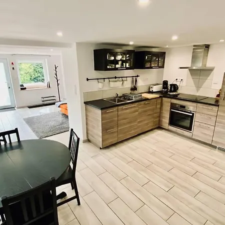 L'ecrivain, Vue Lac, Proche Pistes De * Gérardmer